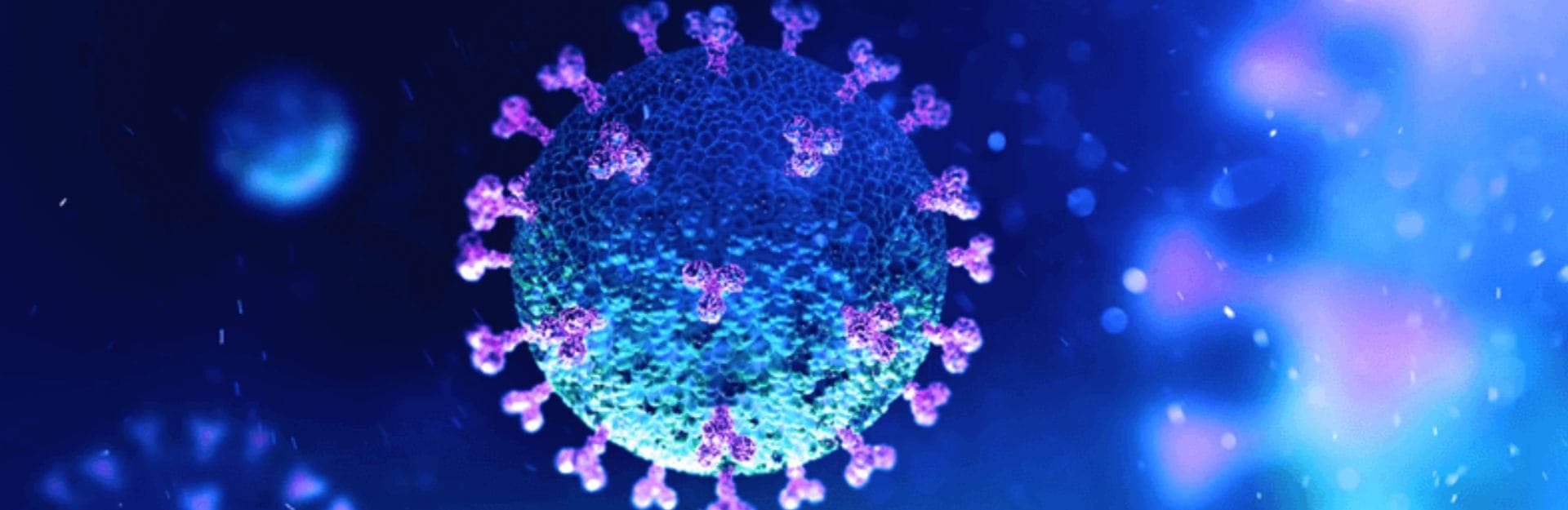 Summary of measures announced by the government of Sri Lanka in response to the COVID-19 Pandemic